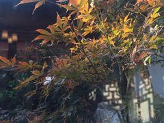 -随柳居·苏式小吃(建新巷店)