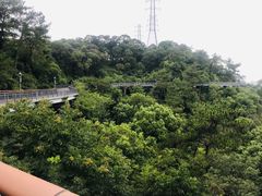 -金鸡山公园