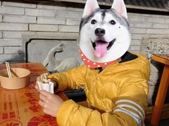 -潼关肉夹馍(永兴坊店)