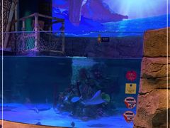 -沈阳海洋探索中心