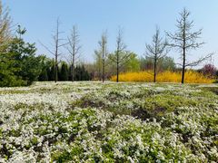 -永定河休闲森林公园