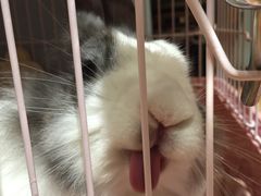 -藦茜花园宠物主题亲子互动体验馆(国顺东路店)