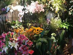 -春暖花开(西溪店)