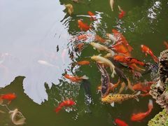 -成都杜甫草堂博物馆