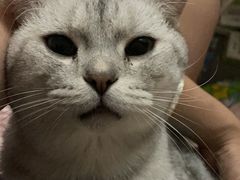 -伟伟宠物医院·CT影像中心·瑞派犬猫综合性门诊(汉口总院)