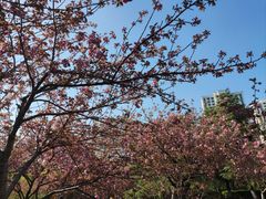 -白塘生态植物园