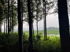 -云龙湖旅游景区