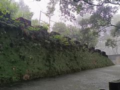 -广州市帽峰山景区