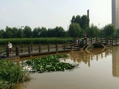 android_upload_pic-前关湿地公园