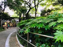 -华山儿童公园