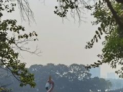 -食膳公园包子铺(烈士公园店)