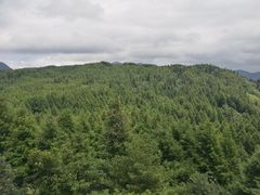 -山王坪喀斯特国家生态公园