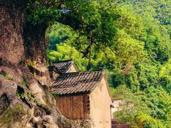 -杨家堂村