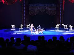 -珠海横琴长隆《卡卡虎奇遇记》