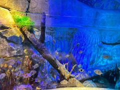 -沈阳海洋探索中心