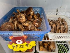 -菌之家·专业纯野生菌火锅·特色炒菌