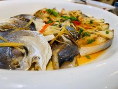 海仓鱼-德胜轩正宗顺德菜(宝安沙井会展中心店)