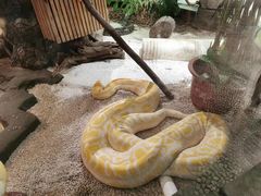 -大连森林动物园