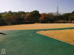 -汉拿树木园