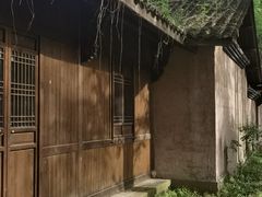 -杭州植物园