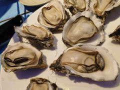 -千岛蚝高压锅生蚝·人参火锅(白云万达店)