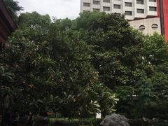 -马勒别墅饭店(静安寺店)