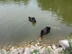 -静之湖度假区
