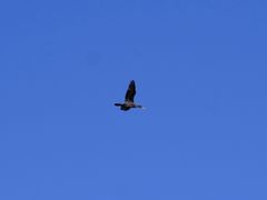 -野鸭湖国家湿地公园