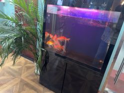 -尚逸男士理发馆·专注男发