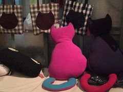 -猫咪博物馆(顶澳仔猫街店)