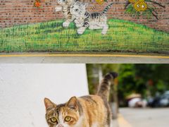 -火炉山森林公园