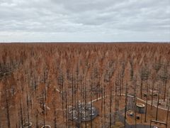 -黄海国家森林公园