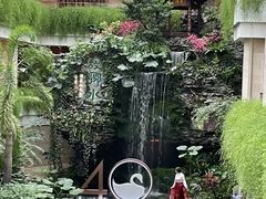 -白天鹅宾馆-宏图府餐厅