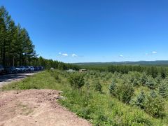 -塞罕坝国家级自然保护区