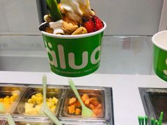 -Salud撒露欧洲冻酸奶(蓝色港湾店)