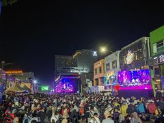 -马六甲鸡场街
