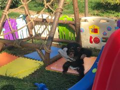 -石家庄市动物园