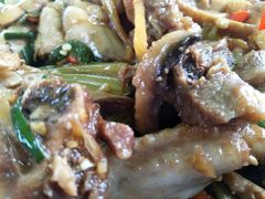 -生态苑农庄(十里画廊遇龙河店)