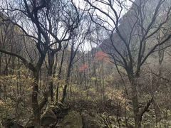 -少华山国家森林公园