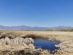 -野鸭湖国家湿地公园