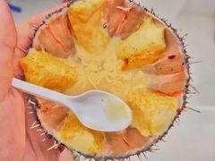 -塞尔夫岛