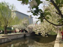 -海棠花溪(元大都城垣遗址公园)