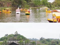 -黄龙溪欢乐田园