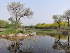 -将府公园