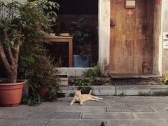 -知亘茶食