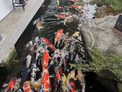 -贵阳高新惠诚食品有限公司