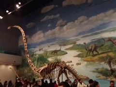 -自贡恐龙博物馆