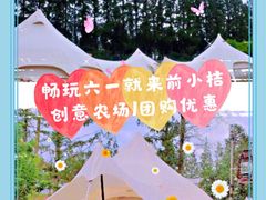 -前小桔亲子创意农场·草莓采摘·露营烧烤