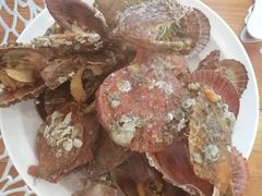 -荣成倪氏海泰度假酒店-餐饮