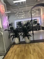 点击看大图 -P.STYLE派斯造型